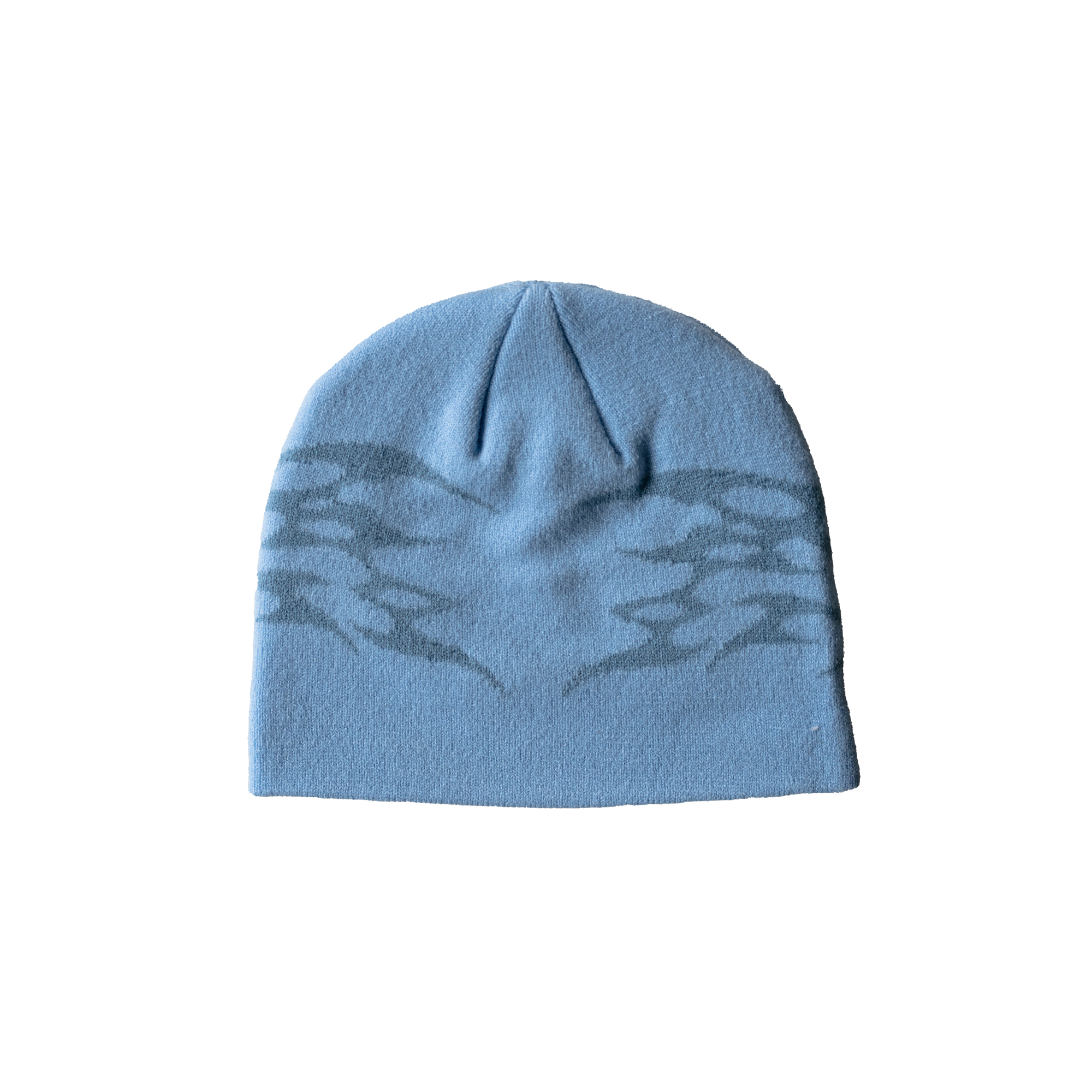bluebeanieback.png