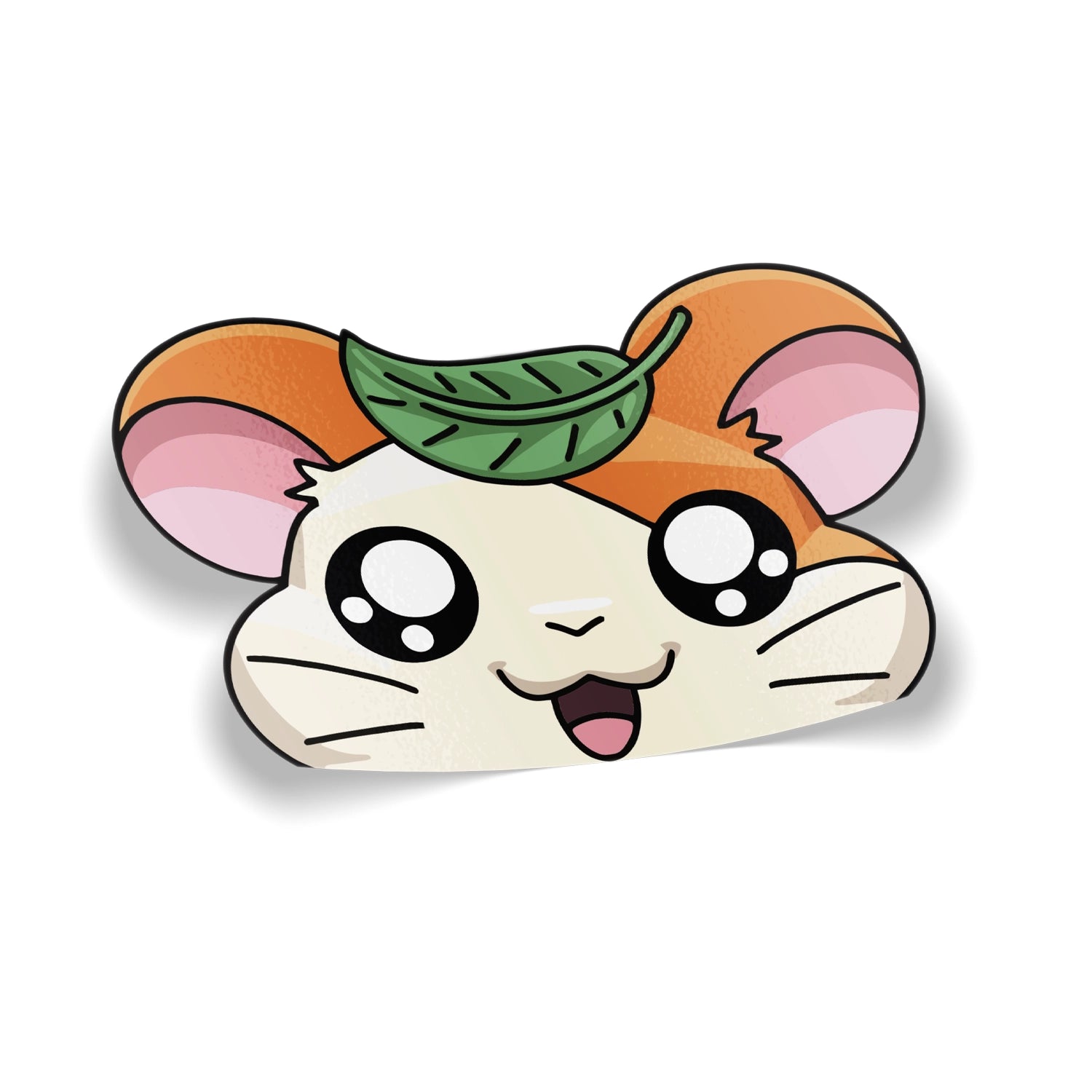 HamPeeker1.webp