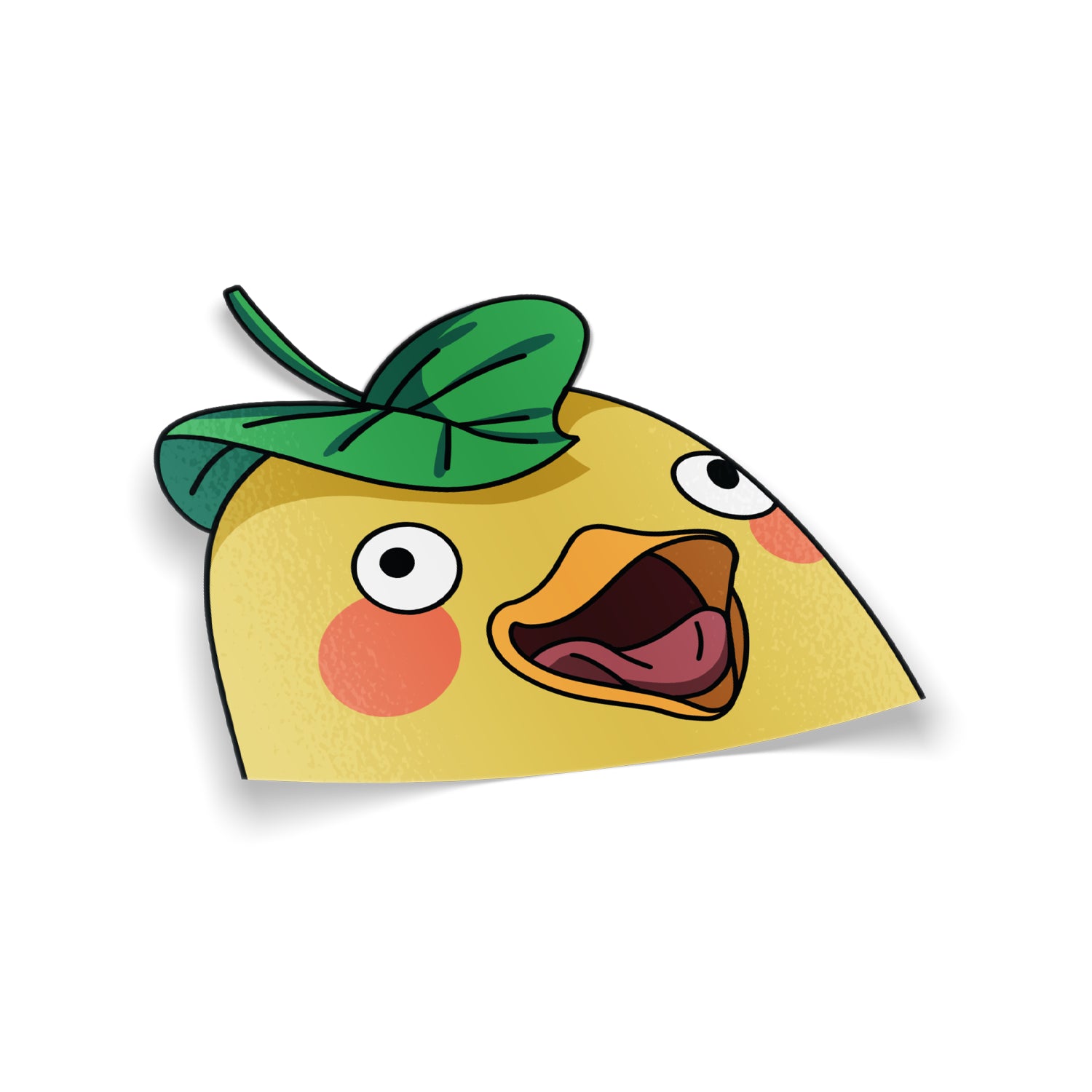 Bathhouse Duck Peeker