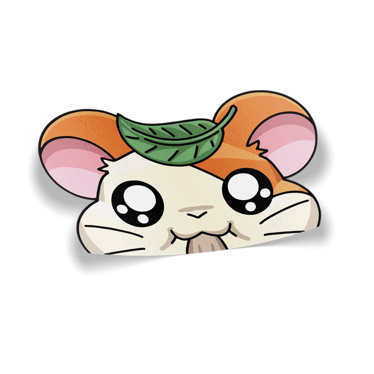 hampeeker2.webp
